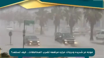 موجة حر شديدة ودرجات حرارة مرتفعة تضرب المحافظات.. كيف تستعد؟